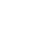 Mode Icon
